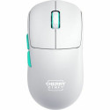 Wireless Mouse Cherry
