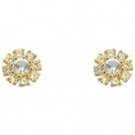 Ladies' Earrings 24KAE Metal