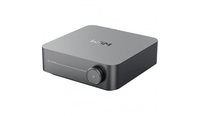 Amplifier Wiim 57231
