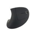 Ergonomic Optical Mouse Equip 245110 Right hand
