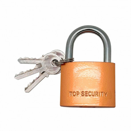 Võtmega tabalukk Micel Messing 50 mm Vibu