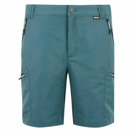 Lühikesed Spordipüksid Regatta LeesvilleShrtIII Mägi - 40