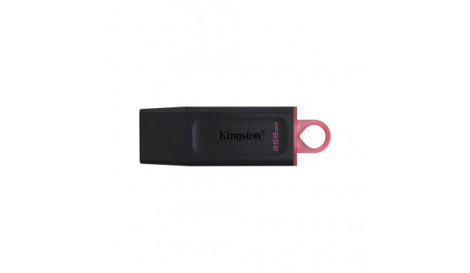 Kingston DataTraveler Exodia 256 GB, USB-Stick