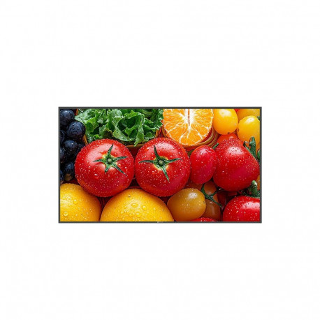 AG Neovo QM-5503 lamepaneelmonitor digitaalne silt 55" 500 cd/m² 4K Ultra HD must