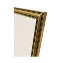 Focus Holly Gold 18x24