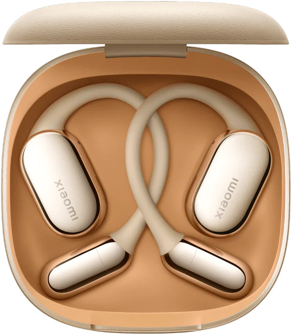 XIAOMI BHR080FGL