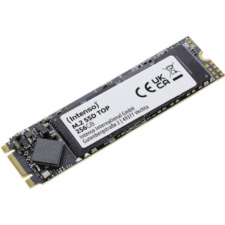 "M.2 256GB Intenso Top Performance"