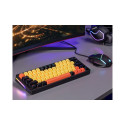 Tracer 47302 Gamezone Evo3 Hot SWAP 63 Yellow
