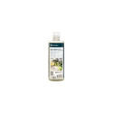 Electrolux Steam Fragrance - Green Tea Citrus, 300 ml (E2WASF00)