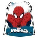 Spiderman gym bag