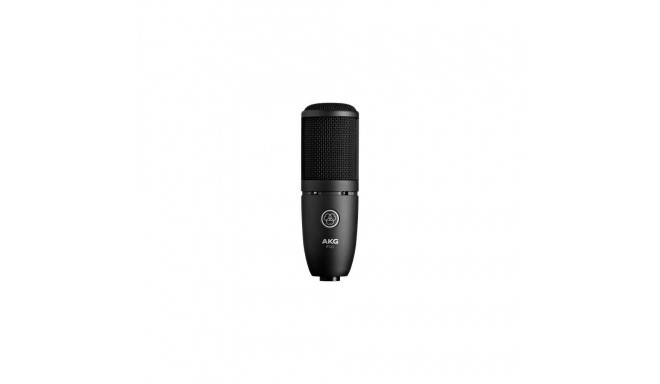 AKG P120 Black Studio microphone