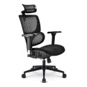 "Sharkoon Brostuhl OfficePal C40 (schwarz)"