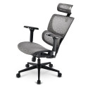 "Sharkoon Brostuhl OfficePal C40M (grau)"