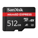 "CARD EXPRESS MICR EXPRESS MICRO"