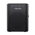 Amplifier FONESTAR
