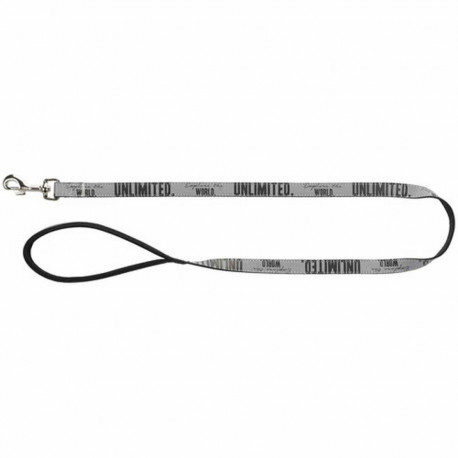 Dog Lead Trixie Explore