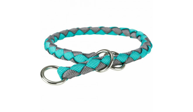 Training collar Trixie