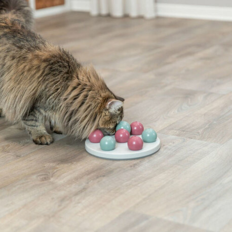 Mängude matt ja auhinnad lemmikloomadele Trixie