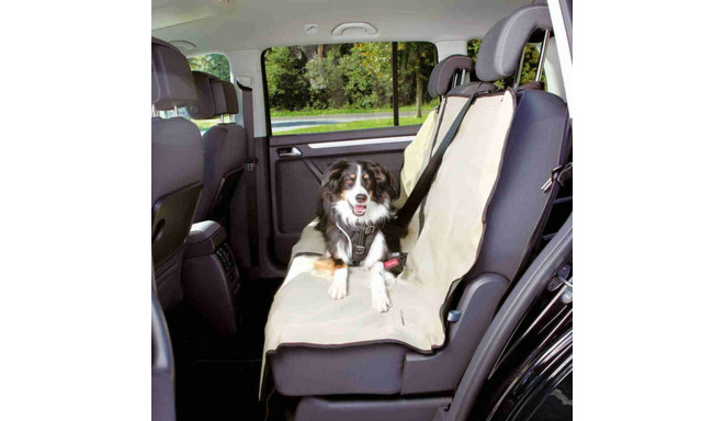 Lemmiklooma induviduaalne autoistme kate Trixie