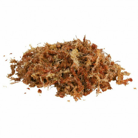 Substrate Trixie Moss