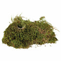 Substrate Trixie 200 gr Moss