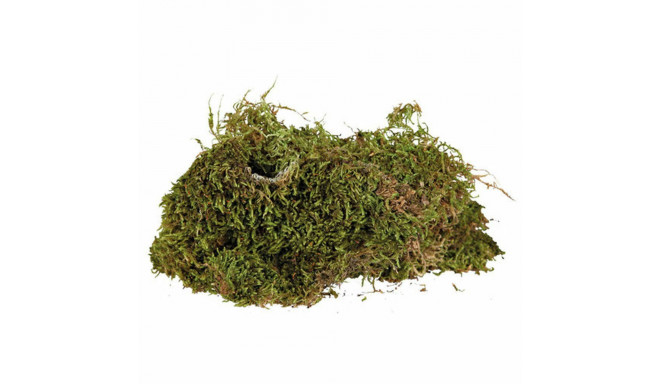 Substrate Trixie 200 g Moss