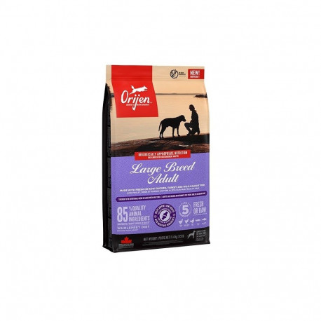 Dog Food - ORIJEN Large Breed Adult 11.4kg Chicken 38% Protein Gluten-Free