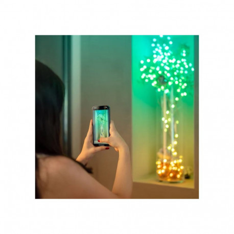 LED Christmas Lights - Twinkly TWKH200RGB-G 200 Heart Multicolor 6m