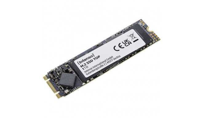 "M.2 1TB Intenso Top Performance"