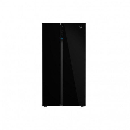 GN163140ZGBN Side by side Fidge-freezer