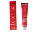 Püsivärv Igora Royal Schwarzkopf - 8-4 - 60 ml