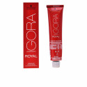 Püsivärv Igora Royal Schwarzkopf - 8-4 - 60 ml