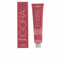 Püsivärv Igora Royal Schwarzkopf - 8-4 - 60 ml