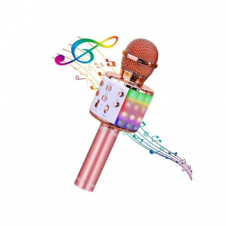 HQ Royal Song WS-858 Karaoke Kids & Adult Fun Effect Microphone with Speakers & Recodr Micro SD USB