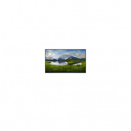DELL PRO 24 PLUS P2425HE FHD IPS 16:9 PIVOT 100HZ USBC-90W RJ45 (NO STAND)