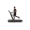Horizon Fitness Omega Z-02 Folding electric treadmill Graphite
