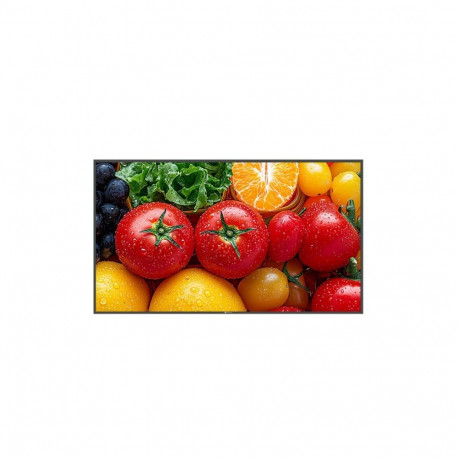 Display 55 inch QM-5503 4K 500cd/m2 5000:1 HDMI USB-C RJ-45 SPEAKERS 400X400