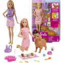 Barbie Mattel nukk – koerte sünd HCK75