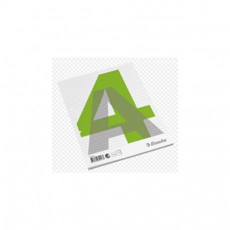 Notebook, removable pages, Esselte, A4/100, lined  0723-206