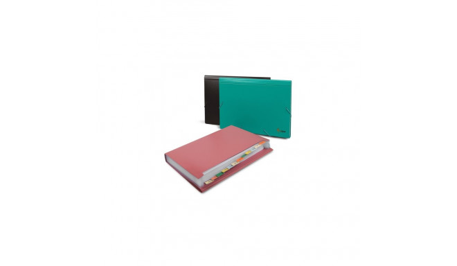 File folder with rubbers Forpus, A4, plastic, black, 12 compartments 0816-024
