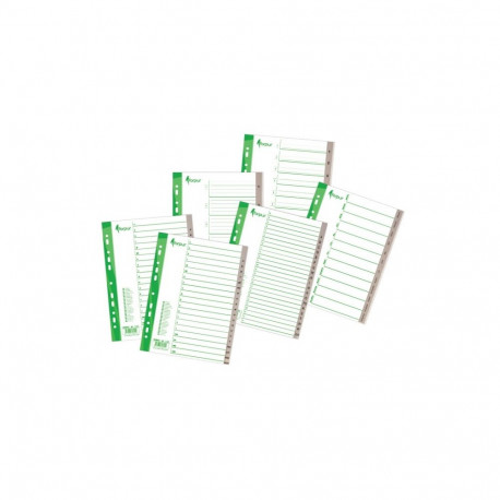 Divider Forpus, A4, Jan.-Dec. months, plastic
