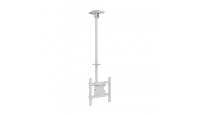 Multibrackets MB-2494 TV Ceiling mount up to 55" / 70kg