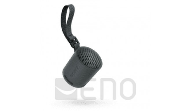 Sony kõlar SRS-XB100B Bluetooth, must