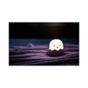 Night lamp BD-NL-01 Chicken