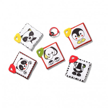 DREAM TEAM − C MORE educational cards 781