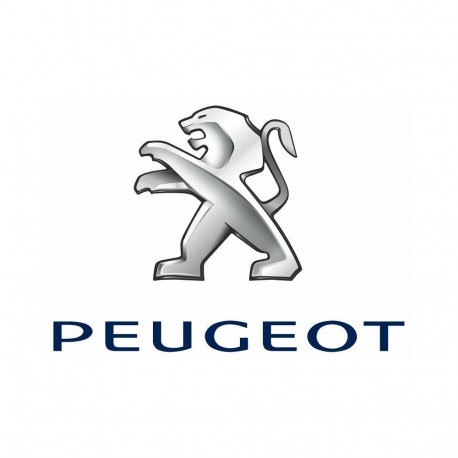 Võtmehoidja Peugeot logoga metallist.