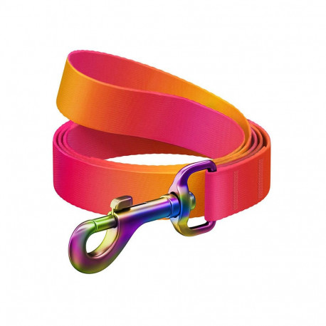 WAUDOG gradient nylon dog leash, 15mm wide, 122cm long, orange