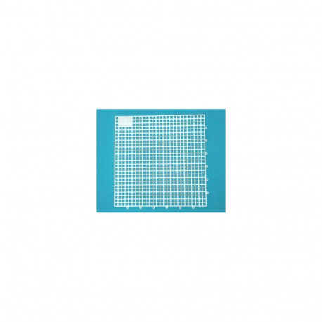 Suure malelaua ruut valge