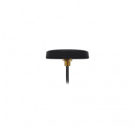 Teltonika | Combo MIMO Mobile Roof SMA Antenna | PR1KCL25 | Screw mounted | Gain 2.5 dB | 0.698-0.96