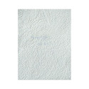 PAINTABLE WALLPAPER 2522-01 B98